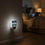 Seattle Seahawks 2026 Super Bowl Night Light 2-Pack