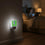 Seattle Seahawks 2024 Illustrated Limited Edition Night Light 2-Pack