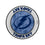 Tampa Bay Lightning Ice Wordmark PopSockets Magnetic Phone Grip and Stand