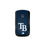 Tampa Bay Rays Solid Wireless Mouse