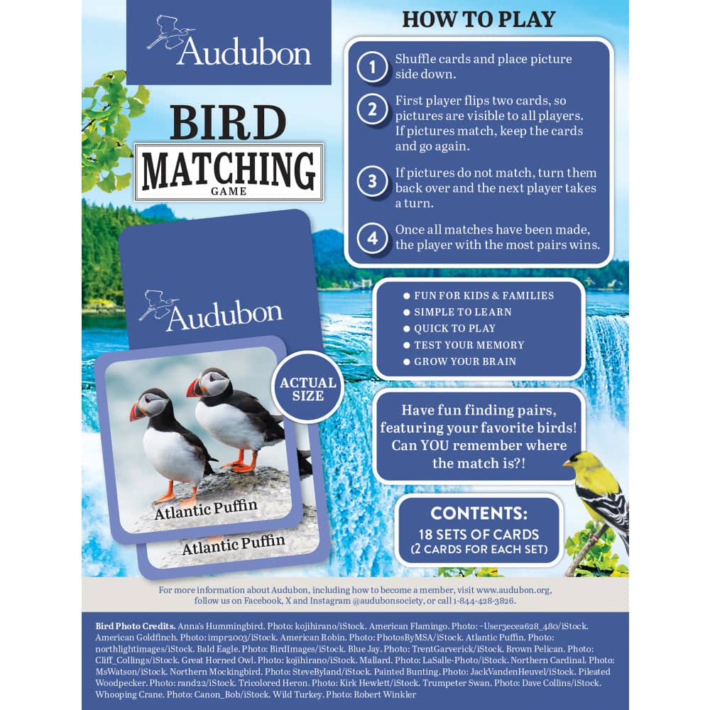 Audubon Bird Matching Game: Discover and Learn with Fun!