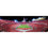 Ohio State Buckeyes - 1000 Piece Panoramic Jigsaw Puzzle - End View - 757 Sports Collectibles