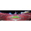 Ohio State Buckeyes 1000 Piece Panoramic Jigsaw Puzzle - End View - Sports Gifts, Sports Memorabilia, Sports Collectibles, Fan Shop