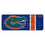 University of Florida Gators Stripe Wireless USB Keyboard