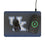 University of Kentucky Wildcats Linen 15-Watt Wireless Charger and Mouse Pad