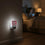 University of South Carolina Gamecocks Stripe Night Light 2-Pack