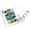 Michigan State Spartans 300 Piece Poker Set - Ultimate Fan Edition