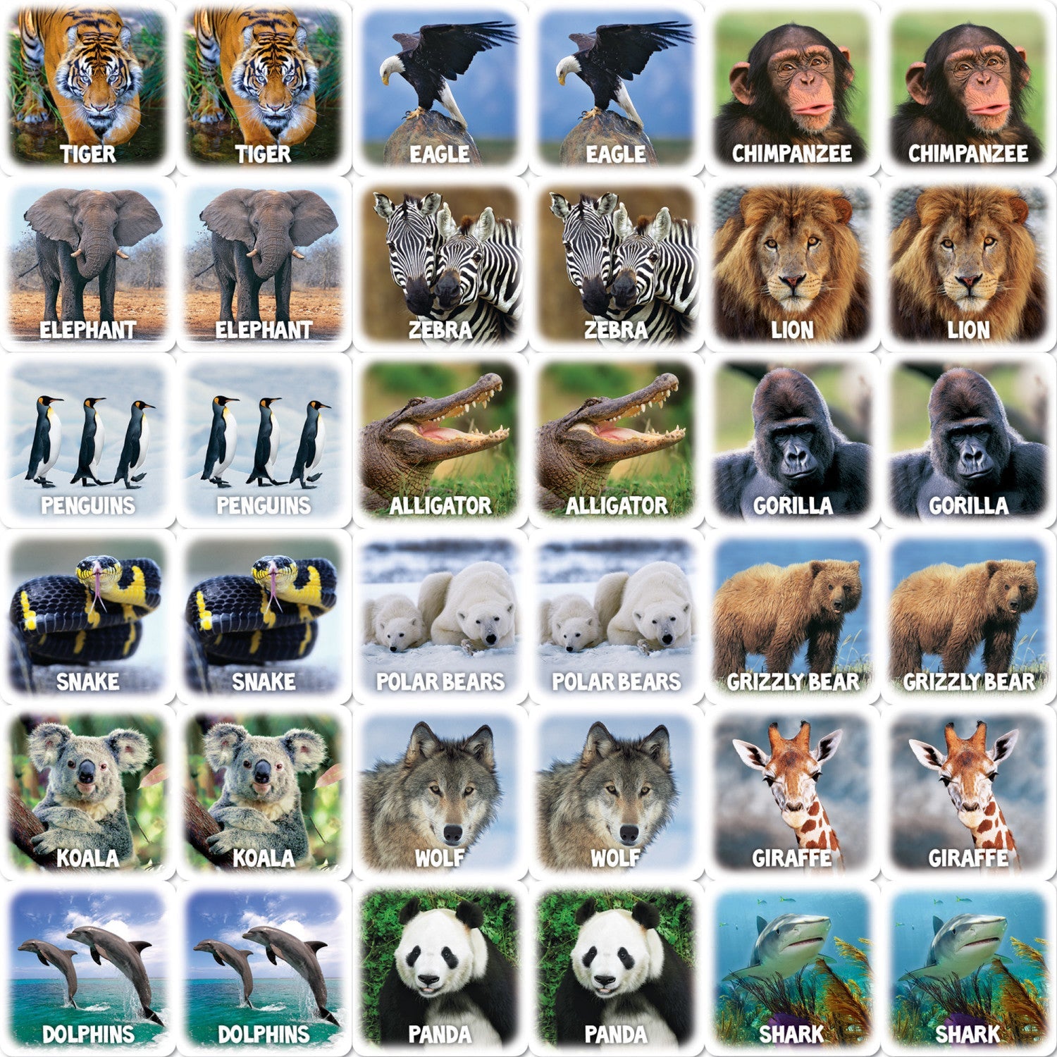 World of Animals Matching Game - 757 Sports Collectibles