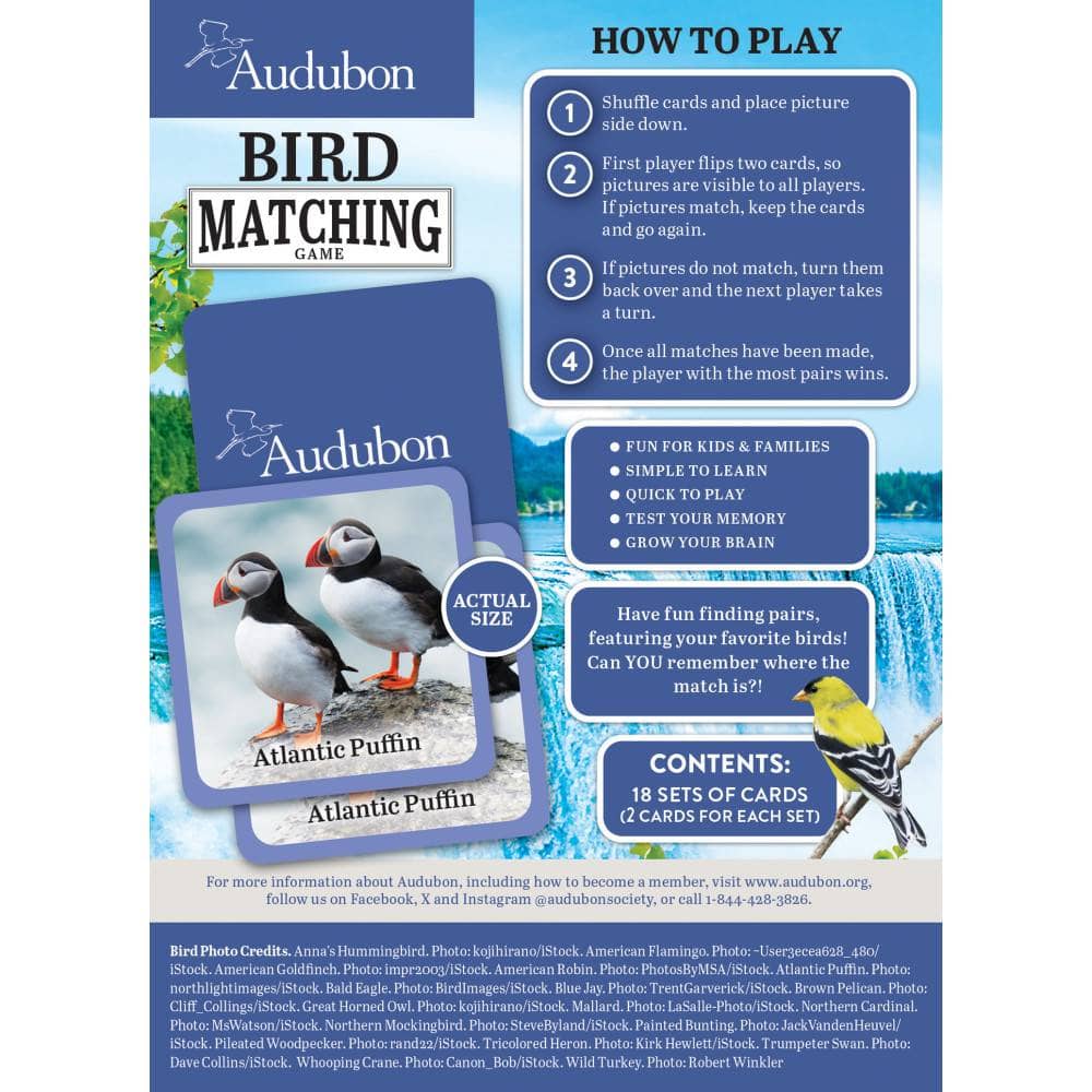 Audubon Bird Matching Game: Discover and Learn with Fun!