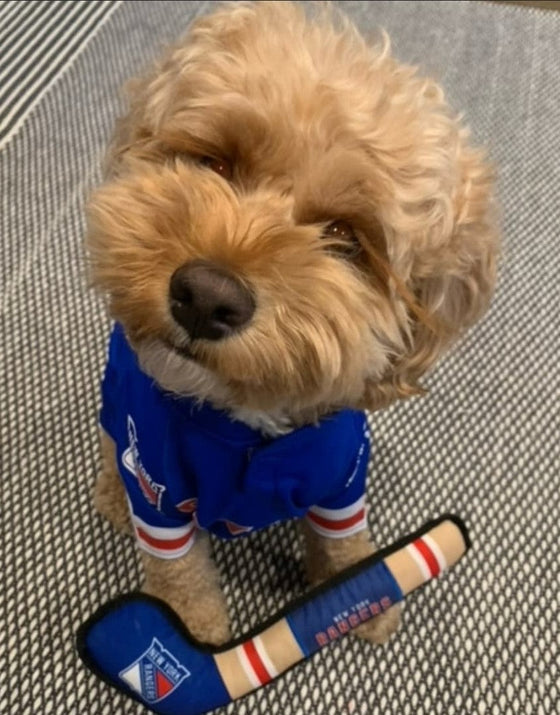 New York Rangers Jersey Pets First - 757 Sports Collectibles