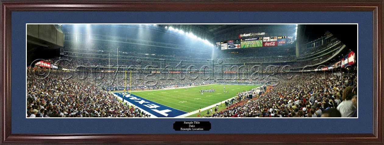 Houston Texans First Win Panorama Photo Print - 757 Sports Collectibles