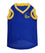 Golden State Warriors Mesh Basketball Jersey by Pets First - 757 Sports Collectibles