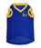 Golden State Warriors Mesh Basketball Jersey by Pets First - 757 Sports Collectibles