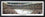 CA-157 Ducks Western Conference Champions - 757 Sports Collectibles