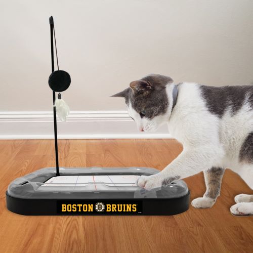 Boston Bruins Hockey Rink Cat Scratcher Toy by Pets First - 757 Sports Collectibles