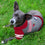 Arizona Cardinals Hoody Dog Tee by Pets First - 757 Sports Collectibles
