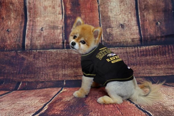 Baltimore Ravens Dog Tee Shirt by Pets First - 757 Sports Collectibles