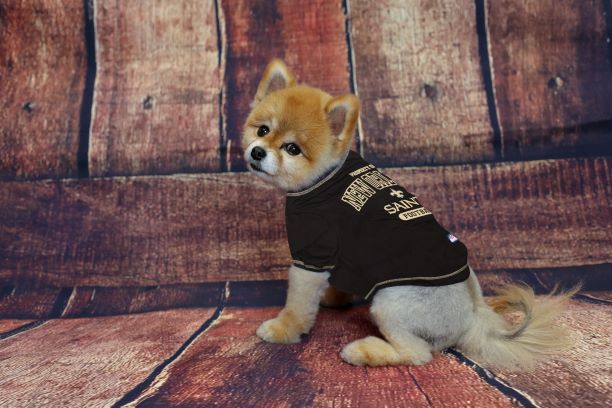 New Orleans Saints Dog Tee Shirt by Pets First - 757 Sports Collectibles