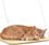 Window Bed Pets First - 757 Sports Collectibles