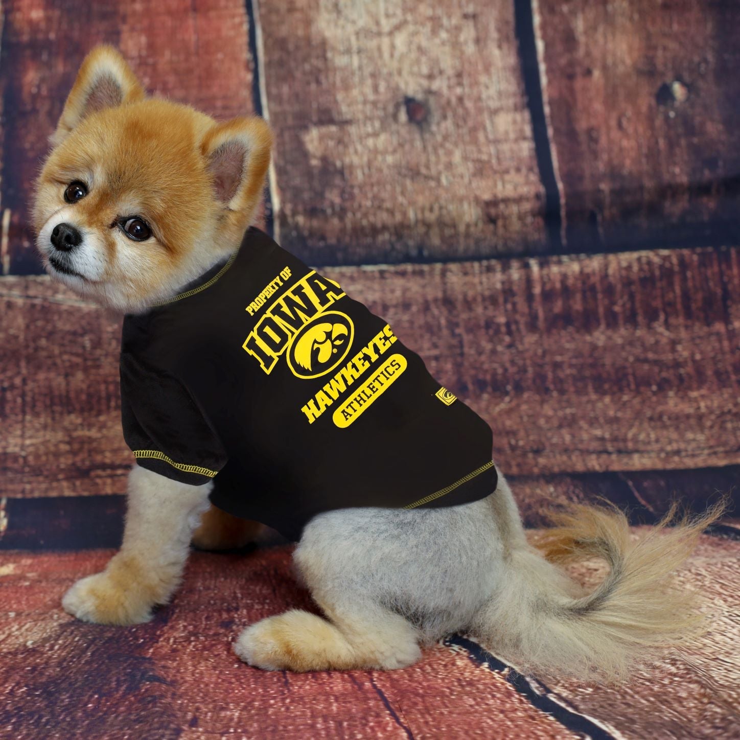 Iowa Tee Shirt - By Pet First - 757 Sports Collectibles