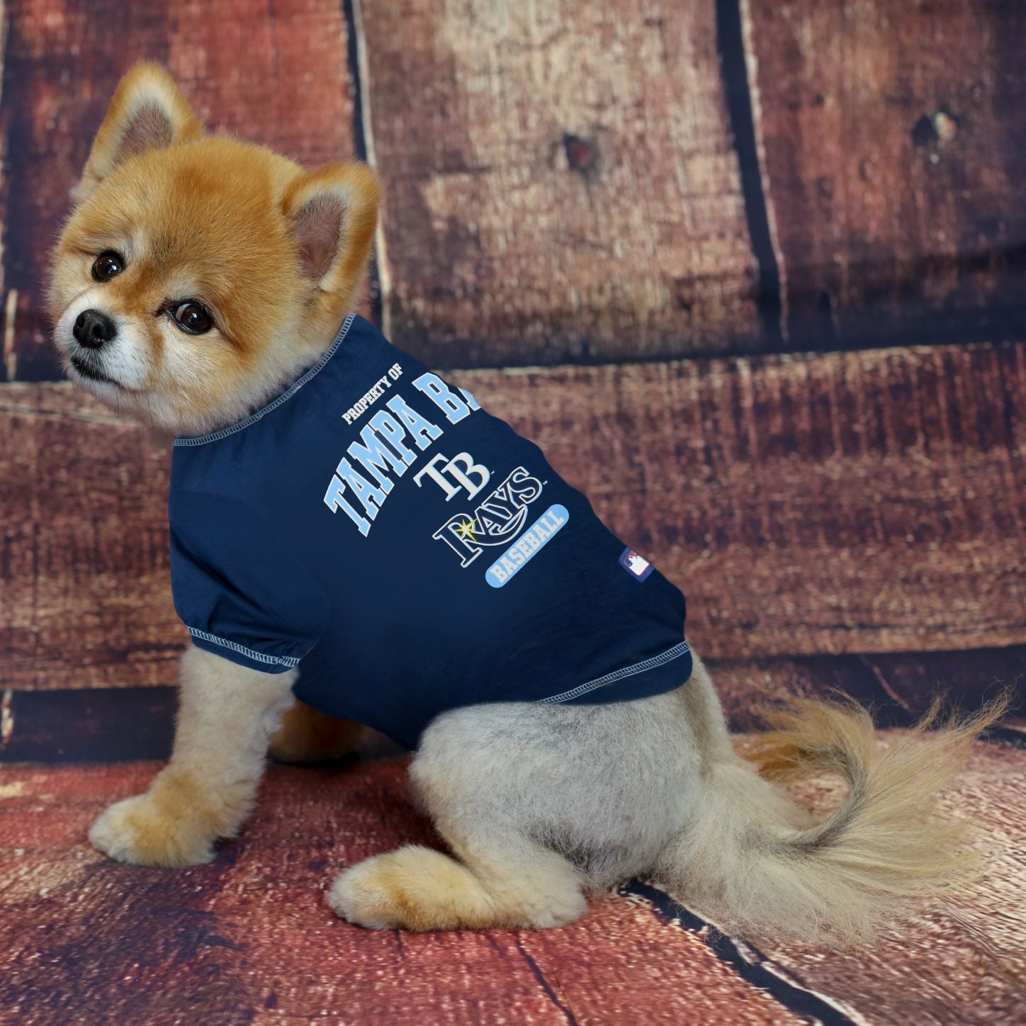 Tampa Bay Rays Dog Tee Shirt - by Pets First - 757 Sports Collectibles