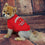 Louisville Dog Tee Shirt - Pets First - 757 Sports Collectibles