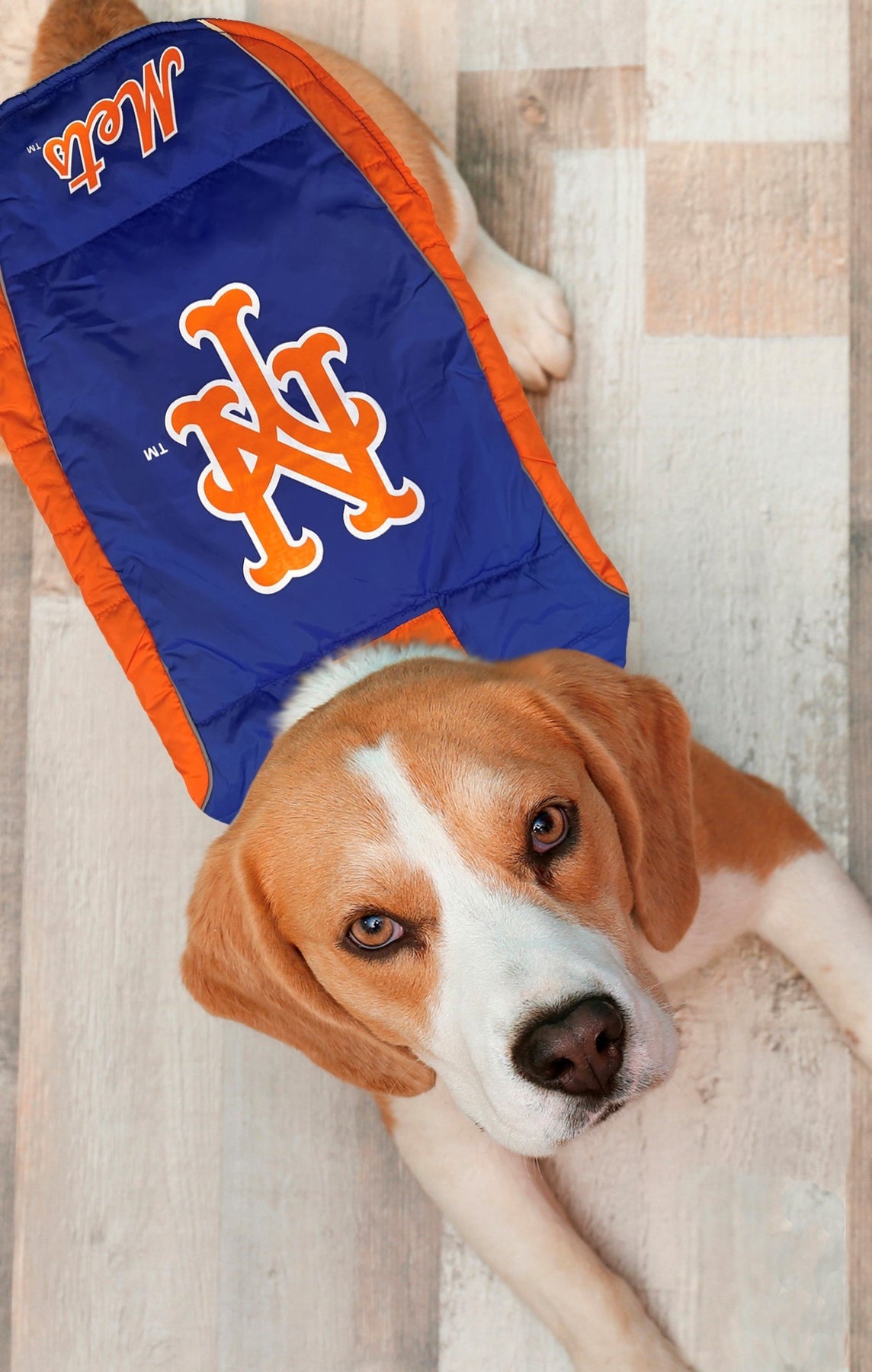 NY METS PUFFER VEST Pets First - 757 Sports Collectibles