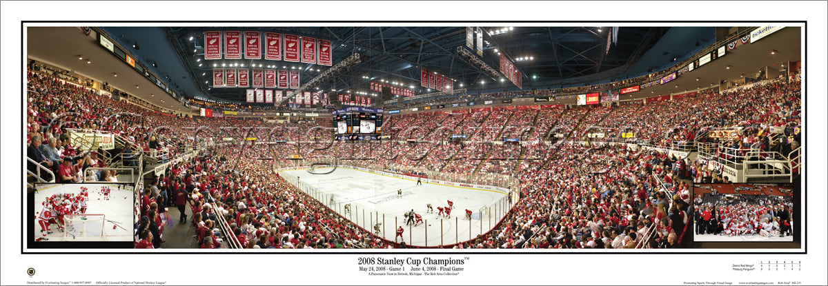 MI-235 Redwings 2008 Stanley Cup Champions with inserts
