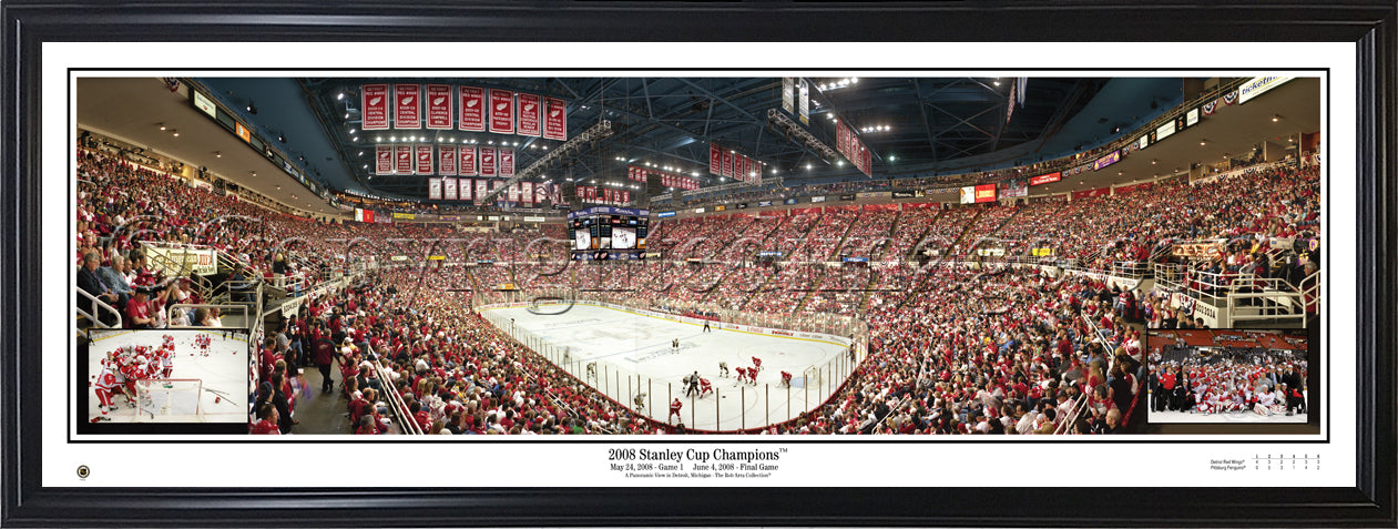 MI-235 Redwings 2008 Stanley Cup Champions with inserts - 757 Sports Collectibles