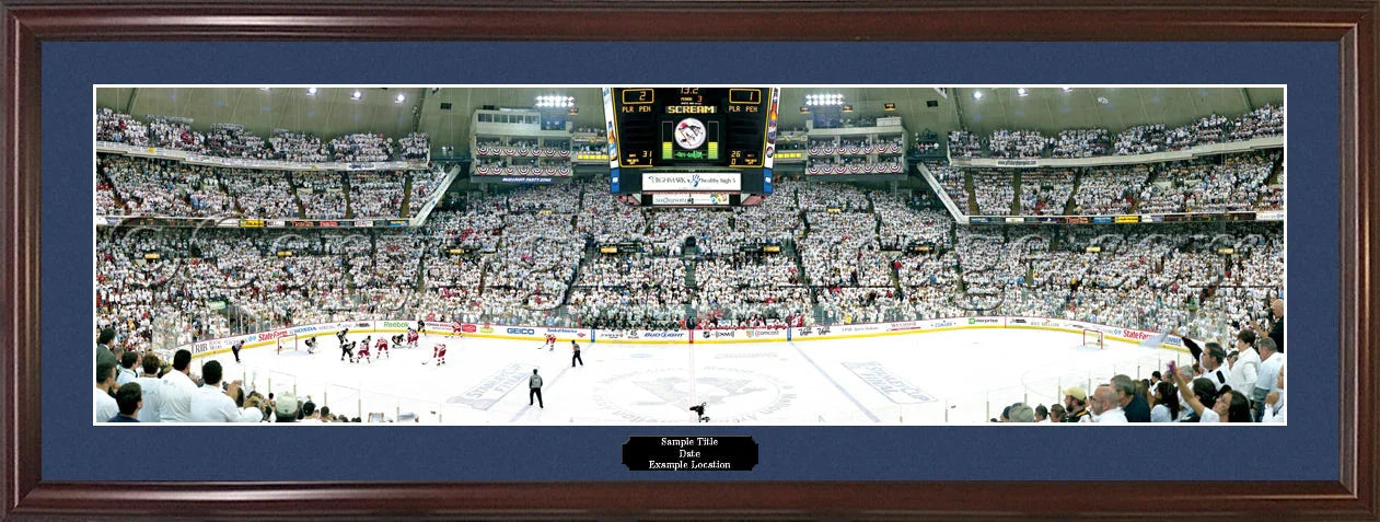 Pittsburgh Penguins 2009 Stanley Cup Champions Panorama Photo Print - 757 Sports Collectibles