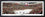 IL-279 Blackhawks 2010 Stanley Cup Champions - 757 Sports Collectibles
