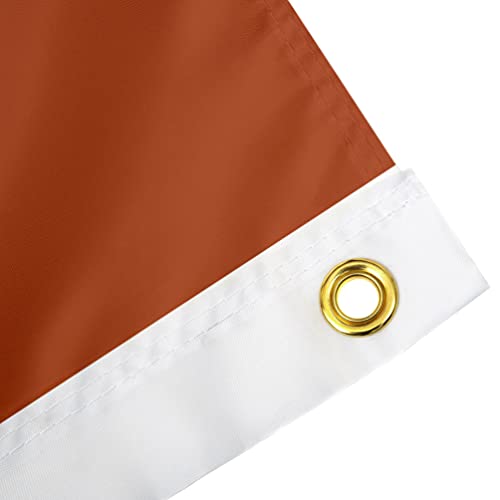 Desert Cactus University of Texas Flag Longhorns UT Austin Flags Banners 100% Polyester Indoor Outdoor 3x5 (Style 4) - 757 Sports Collectibles