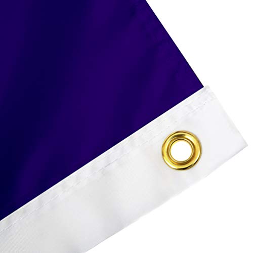 Desert Cactus James Madison University Flag Dukes JMU Flags Banners 100% Polyester Indoor Outdoor 3x5 (Style 3) - 757 Sports Collectibles