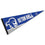 College Flags & Banners Co. Seton Hall Pirates Pennant - 757 Sports Collectibles