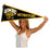 College Flags & Banners Co. UMBC Retrievers Pennant - 757 Sports Collectibles