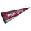 College Flags & Banners Co. Southern Illinois Salukies Pennant Full Size Felt - 757 Sports Collectibles