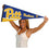 College Flags & Banners Co. Pittsburgh Pennant Full Size Felt - 757 Sports Collectibles