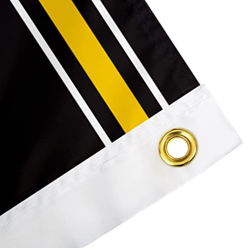 Desert Cactus University of Iowa Flag Hawkeyes Flags Banners 100% Polyester Indoor Outdoor 3x5 (Vintage B) - 757 Sports Collectibles