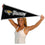 College Flags & Banners Co. Towson Tigers Pennant Full Size Felt - 757 Sports Collectibles