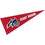 College Flags & Banners Co. Stony Brook Seawolves Pennant Full Size Felt - 757 Sports Collectibles