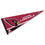 WinCraft Arizona Cardinals Pennant Banner Flag - 757 Sports Collectibles