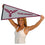 College Flags & Banners Co. Texas Womans Pioneers Pennant - 757 Sports Collectibles