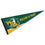 College Flags & Banners Co. William and Mary Pennant Full Size Felt - 757 Sports Collectibles