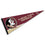 College Flags & Banners Co. Florida State Seminoles Pennant Full Size Felt - 757 Sports Collectibles