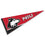 College Flags & Banners Co. Northern Illinois Huskies Pennant Full Size Felt - 757 Sports Collectibles