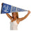 Air Force Falcons Pennant Throwback Vintage Banner - 757 Sports Collectibles