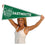 College Flags & Banners Co. Dartmouth Pennant Full Size Felt - 757 Sports Collectibles