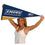 College Flags & Banners Co. Emory Eagles Pennant Full Size Felt - 757 Sports Collectibles