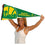 WinCraft Seattle Supersonics Throwback Retro Vintage Pennant Flag - 757 Sports Collectibles