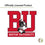 Desert Cactus Boston University Flag Terriers BU Flags Banners 100% Polyester Indoor Outdoor 3x5 (Style 1) - 757 Sports Collectibles